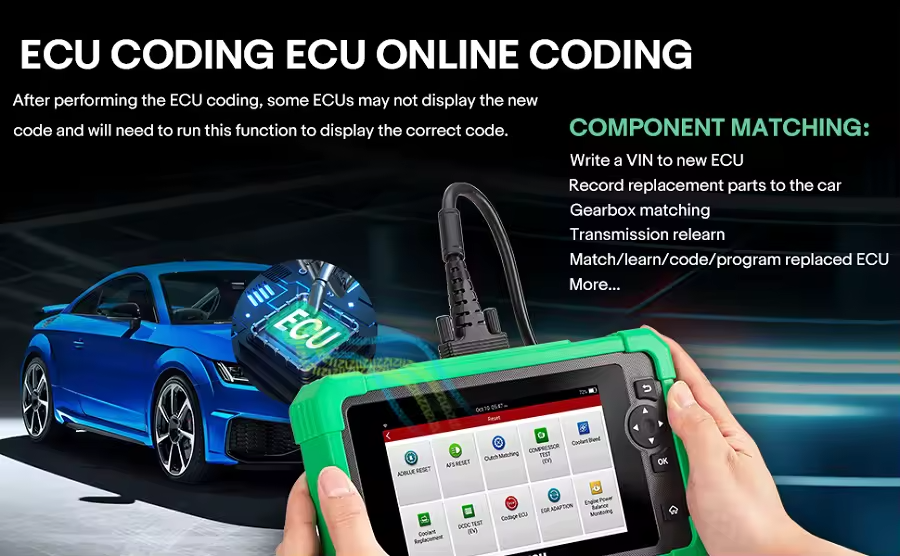 CRP919 EV(图2)